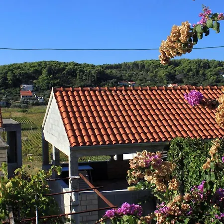 アパート With Parking Space Lumbarda, Korcula - 9262 *