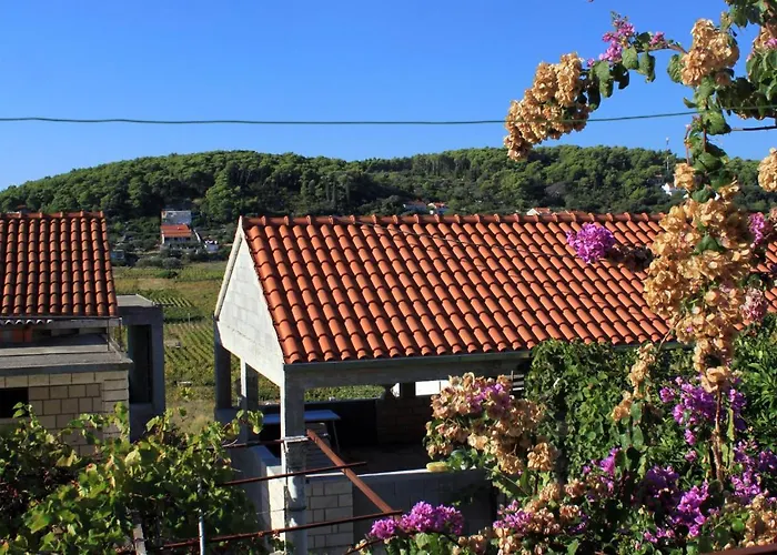 Apartment With Parking Space Lumbarda, Korcula - 9262 *